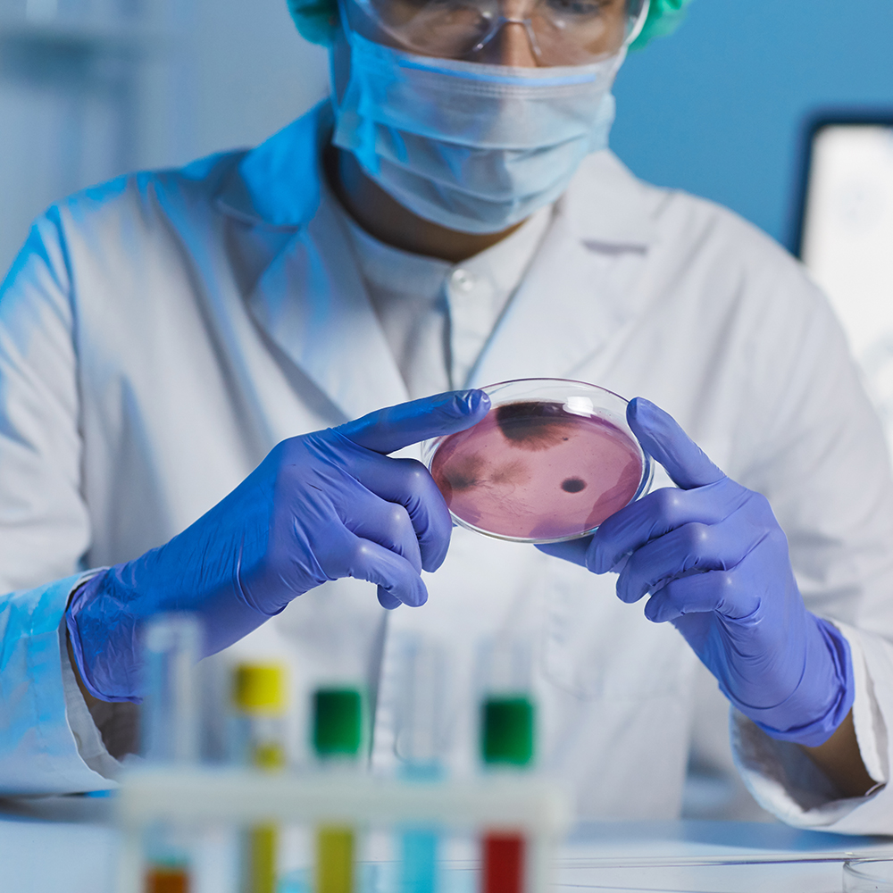 Komórki macierzyste w chirurgii plastycznej – przyszłość regeneracji skóry